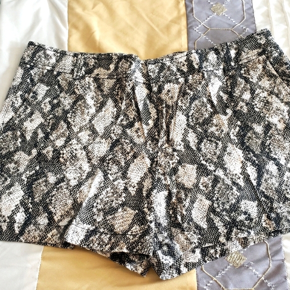 🏝3for$25 New York & Co Cotton Shorts - Picture 1 of 5